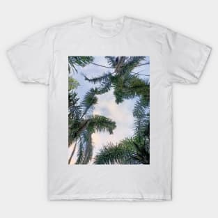 palm trees blue sky T-Shirt